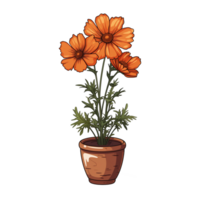 AI generated Illustration of cosmos flowers in pots isolated on transparent background png