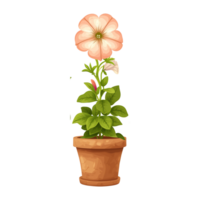 ai generato illustrazione di petunia fiore isolato su trasparente sfondo png