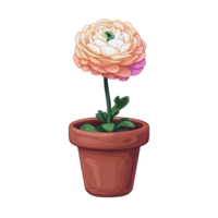 AI generated Ranunculus flowers in pots isolated on transparent background png