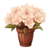 AI generated Azalea flowers in pots isolated on transparent background png