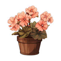 ai genererad geranium blommor illustration på transparent bakgrund png