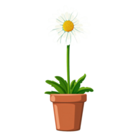AI generated Cartoon daisy flowers in pots isolated on transparent background png
