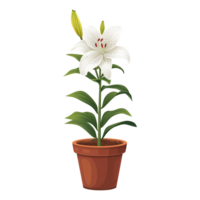 AI generated Lily flowers illustration in pots isolated on transparent background png