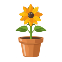 AI generated Sunflower illustration in pots isolated on transparent background png