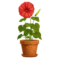 ai gegenereerd illustratie van ochtend- heerlijkheid bloemen in een pot geïsoleerd Aan transparant achtergrond png