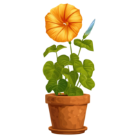 ai généré illustration de Matin gloire fleurs dans une pot isolé sur transparent Contexte png