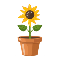 AI generated Sunflower illustration in pots isolated on transparent background png