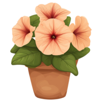 ai gerado ilustração do petúnia flor isolado em transparente fundo png