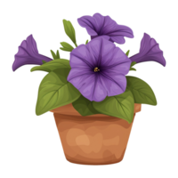 ai gegenereerd illustratie van petunia bloem geïsoleerd Aan transparant achtergrond png