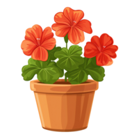 AI generated Geranium flowers illustration in pot isolated on transparent background png