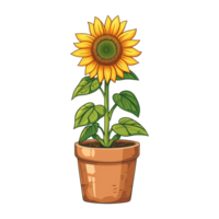 ai généré tournesol illustration dans des pots isolé sur transparent Contexte png