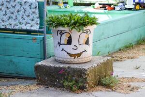 Art design of the pot with the plant. Smile with a flower on the pot. Home fun. photo