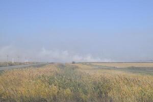 Landscape burning field. The burning of rice straw in the fields. Rice paddies photo