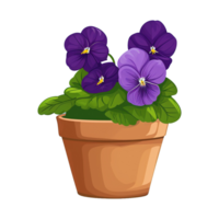 ai gerado violetas flor ilustração dentro panelas isolado em transparente fundo png