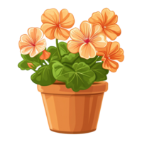 ai genererad geranium blommor illustration i pott isolerat på transparent bakgrund png