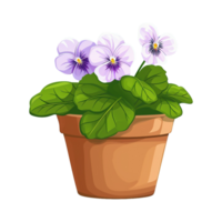 ai genererad violer blomma illustration i kastruller isolerat på transparent bakgrund png