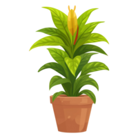 AI generated Illustration of aglonema isolated on transparent background png