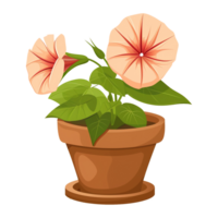 ai généré illustration de Matin gloire fleurs dans une pot isolé sur transparent Contexte png