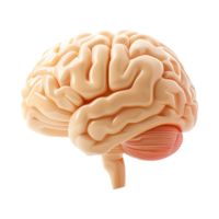 AI generated 3d rendering of human brain emoji isolated on transparent background png