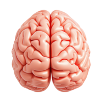 AI generated 3d icon of human brain with orange color isolated on transparent background png