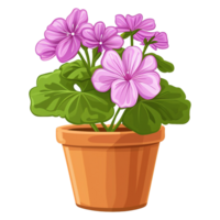 ai genererad geranium blommor illustration i pott isolerat på transparent bakgrund png