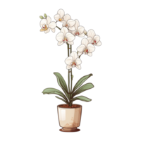 AI generated Orchid flowers illustration in a pot on transparent background png