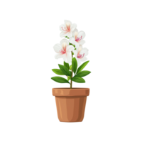 AI generated Illustration of azalea flowers isolated on transparent background png