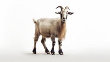 AI generated Animal rights concept A goat with a light brown coat and dark legs, standing against a white background photo