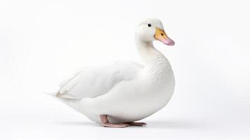 AI generated white duck against a plain background purity and simplicity. photo