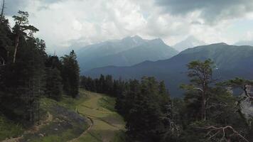 aéreo ver de montañas en el costa cubierto con pino bosque. aéreo ver de hermosa montañas paisaje. ver de verano verde árboles, nubes y montañas video