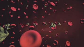 Virus Attacks Red Blood Cells inside human blood vessel. Animation of virus destroying cells. Medical 3d animation video