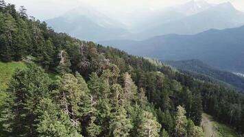 Aerial view of Mountains on the coast Covered with Pine Forest. Aerial view of summer green trees and mountain video