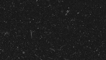 Realistic dust particles on dark background. Abstract animation. White and glow dust particle abstract on black background video