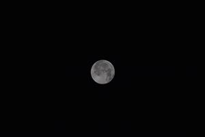 el Luna en el noche cielo foto