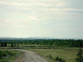 un suciedad la carretera en el tundra en el verano. el la carretera desde el escombros foto