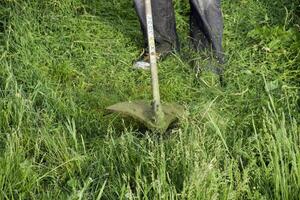 Application trimmers. Mowing green grass using a fishing line trimmer photo