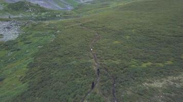 The chase on horseback in the valley, aerial view. Clip. Chase scene on horseback video