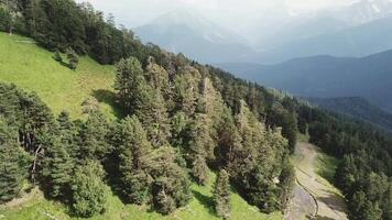 Aerial view of Mountains on the coast Covered with Pine Forest. Aerial view of summer green trees and mountain video