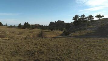 Path to rocky hills across forest and green valley. Shot. Coniferous trees under blue sky. video