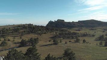 conífero arboles en el montañas debajo azul y nublado cielo. disparo. maravilloso puro día en un Valle video