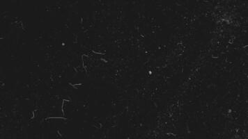 Realistic dust particles on dark background. Abstract animation. White and glow dust particle abstract on black background video