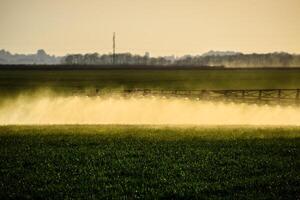 chorros de líquido fertilizante desde el tractor pulverizador. foto