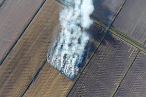 Burning straw in the fields after harvesting wheat crop photo