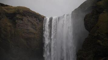 waterval in IJsland in de zomer. de natuur van IJsland. video