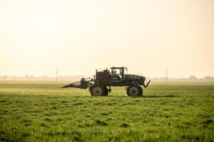 tractor en el puesta de sol antecedentes. tractor con alto ruedas es haciendo fertilizante en joven trigo. el utilizar de finamente disperso rociar productos quimicos foto