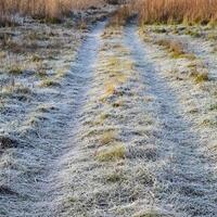 The road to the frosted grass. Frost on the road photo