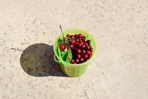 cerezas en un el plastico verde balde. maduro rojo dulce Cereza foto