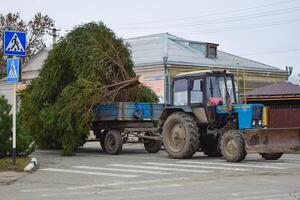 desmantelamiento el Navidad árbol foto