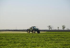 tractor en el puesta de sol antecedentes. tractor con alto ruedas es haciendo fertilizante en joven trigo. el utilizar de finamente disperso rociar productos quimicos foto