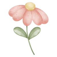 A pink flower illustration for decoration png